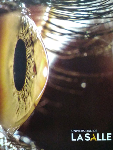 Corrección editorial