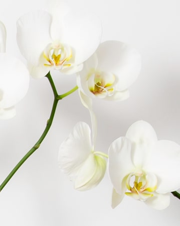 La escritura importa